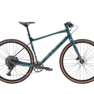 DSX 1