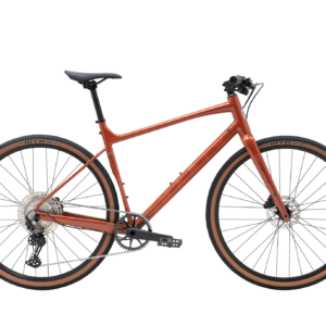 DSX 2