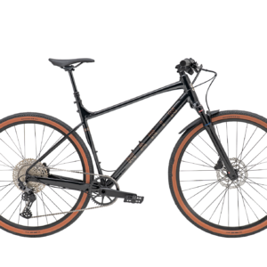 DSX FS