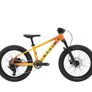 San Quentin Jr 20